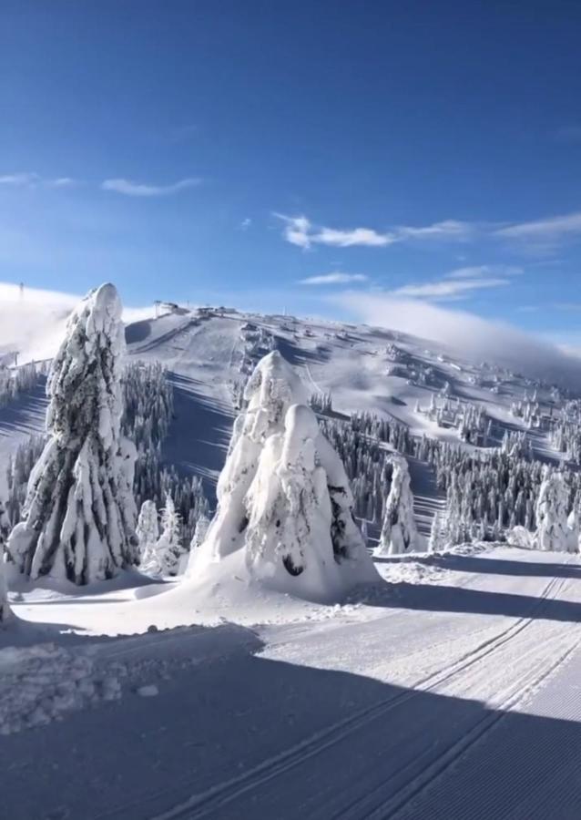 Sunny Kop Cardaci Appartement Kopaonik Buitenkant foto